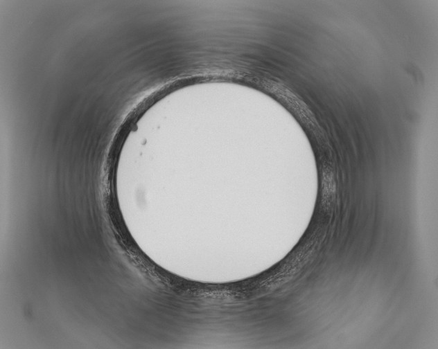 X0000111610628200908281051