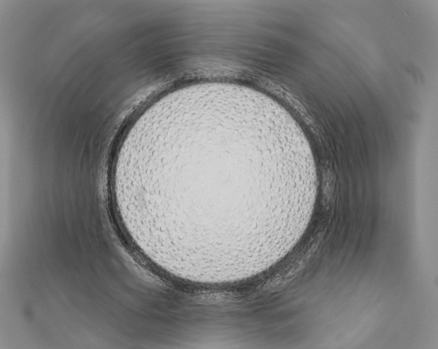 X0000111610629200908281051