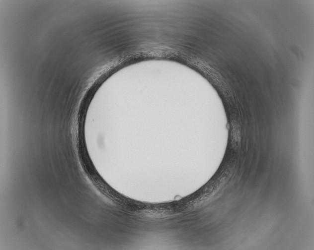 X0000111610630200908281051
