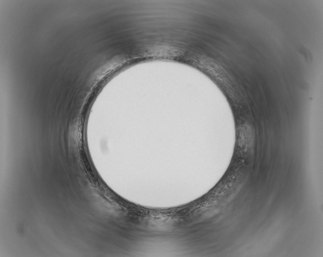 X0000111610632200908281051