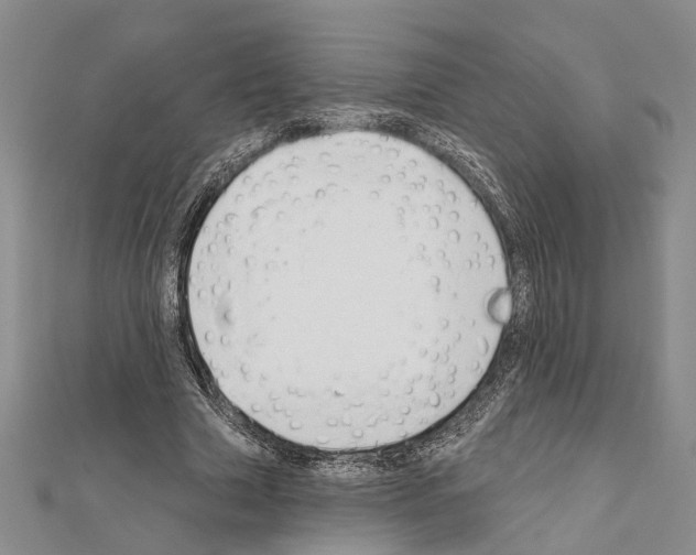 X0000111610633200908281051