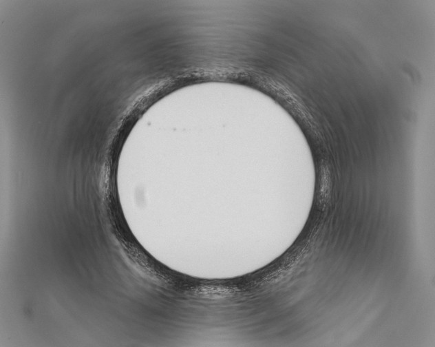 X0000111610636200908281051