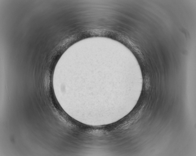 X0000111610637200908281051