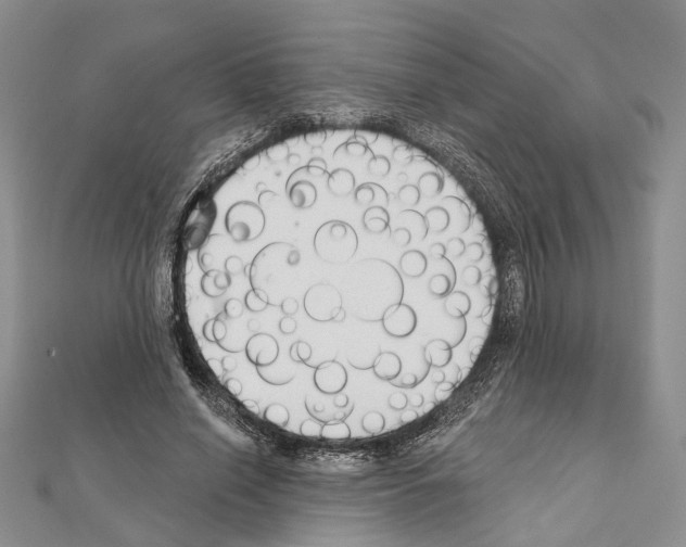 X0000111610638200908281051