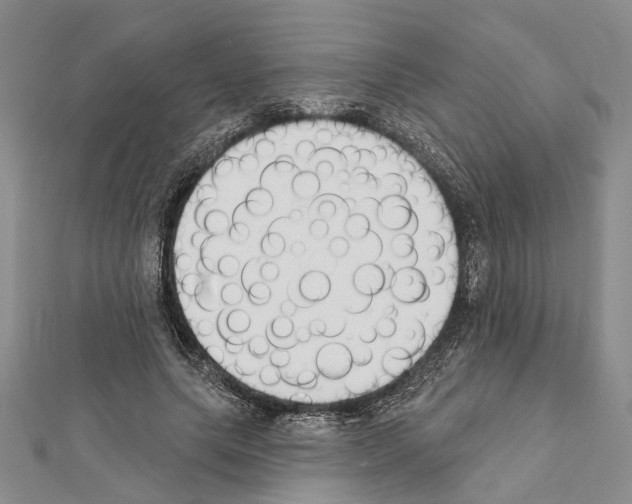 X0000111610639200908281051