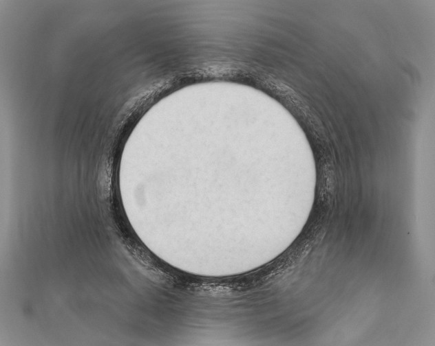 X0000111610640200908281051