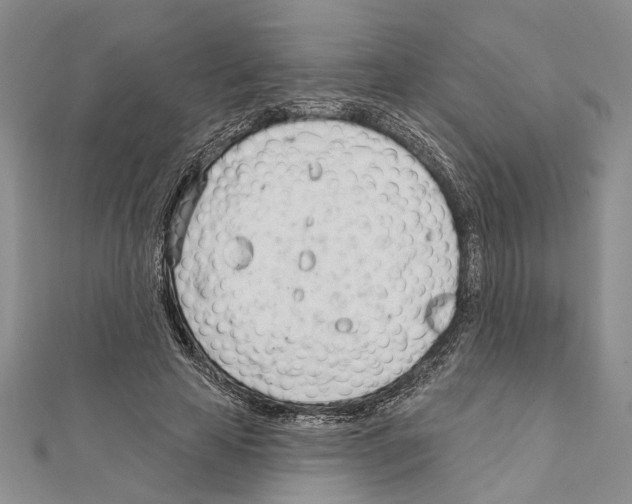 X0000111610641200908281051