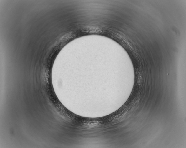 X0000111610643200908281051