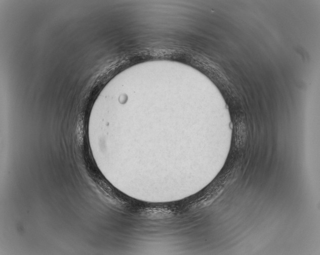 X0000111610644200908281051