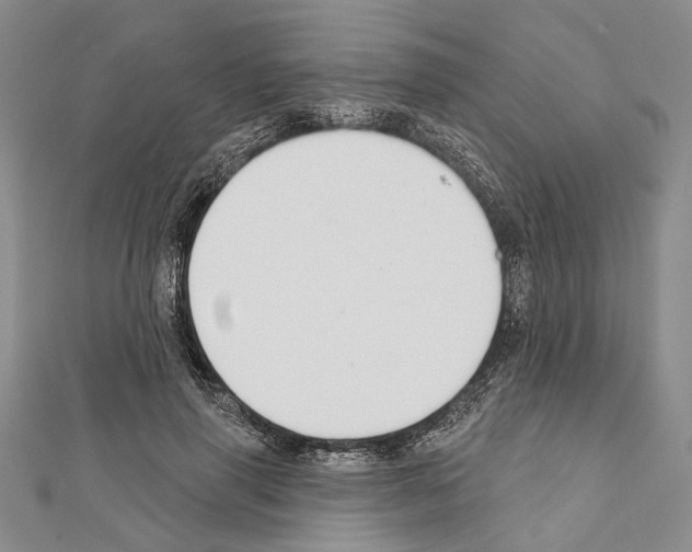 X0000111610645200908281051