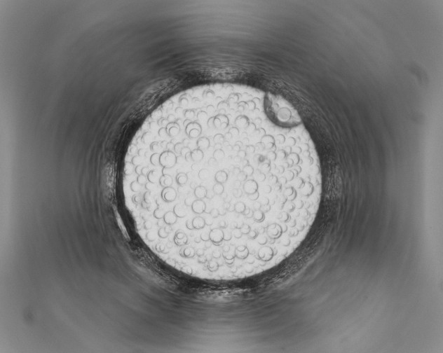 X0000111610646200908281051