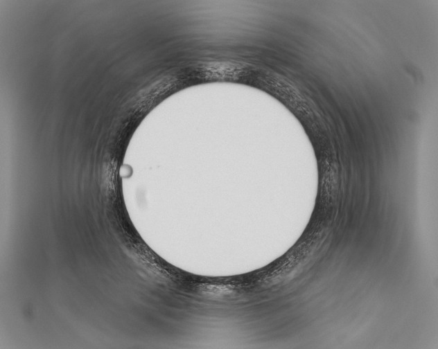 X0000111610649200908281052
