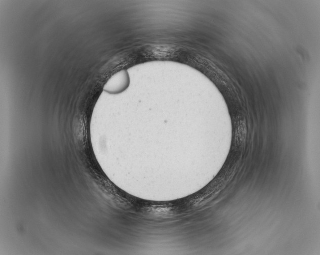X0000111610651200908281052