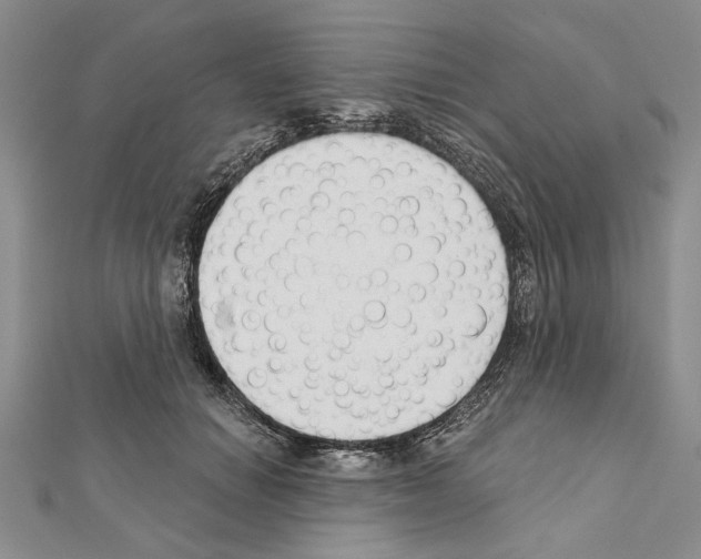 X0000111610654200908281052