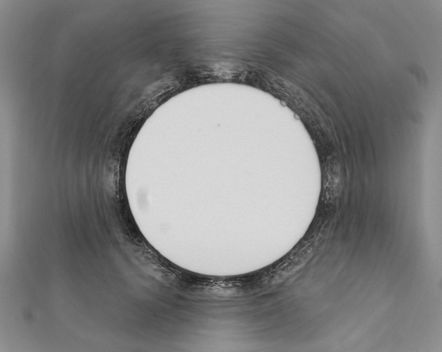 X0000111610656200908281052