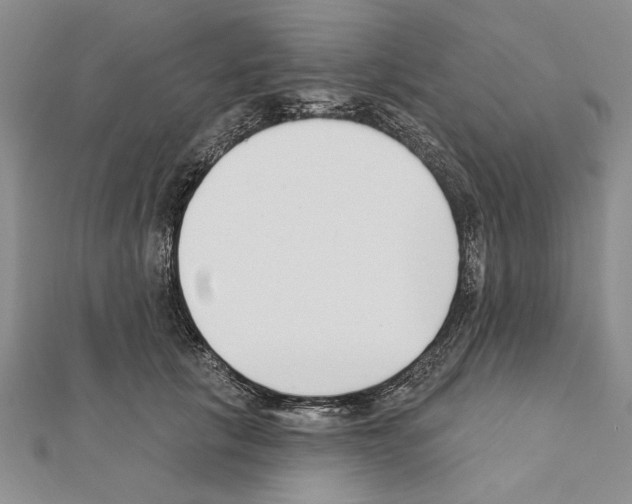 X0000111610657200908281052
