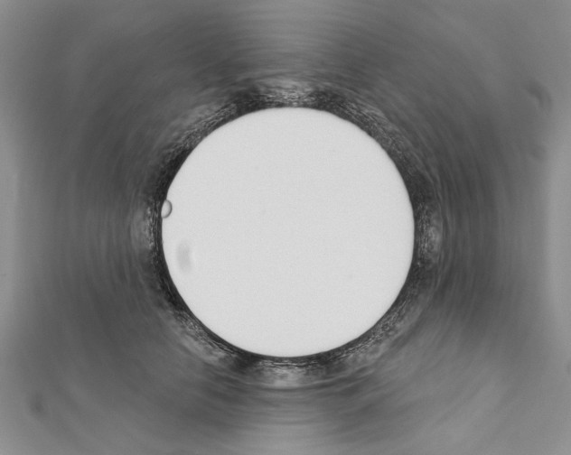 X0000111610658200908281052