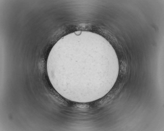 X0000111610659200908281052