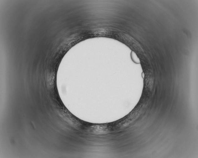X0000111610660200908281052