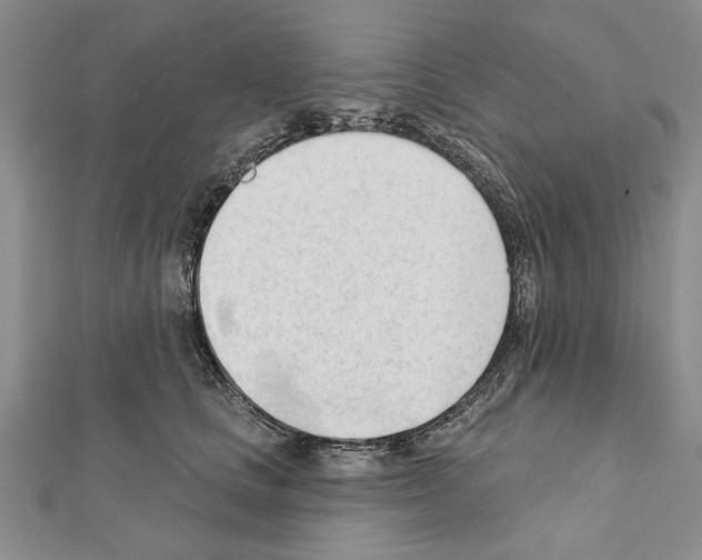 X0000111610661200908281052