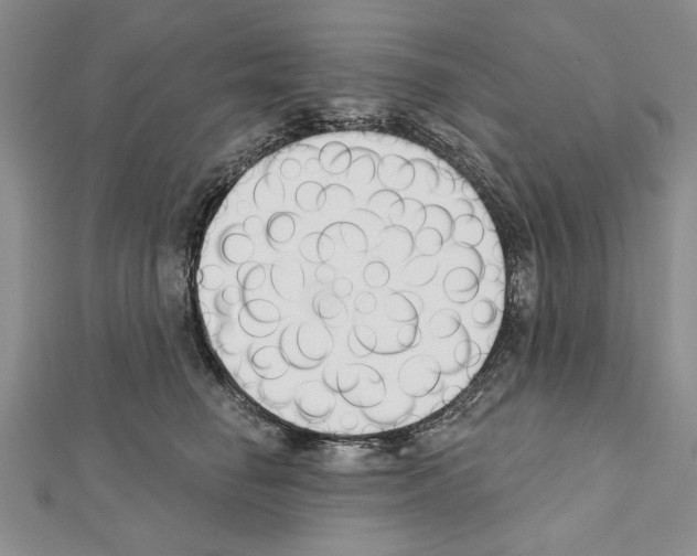 X0000111610662200908281052