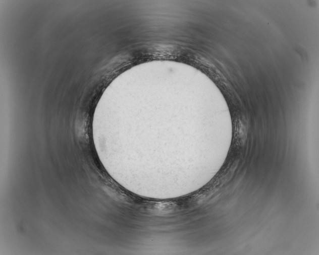 X0000111610663200908281052