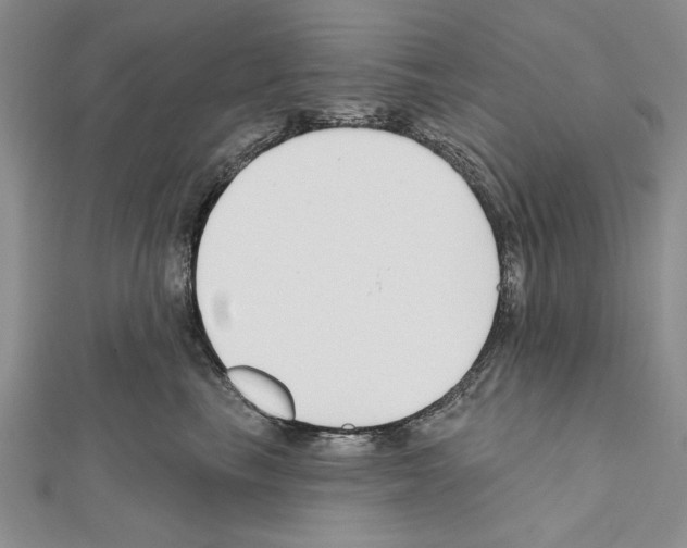 X0000111610665200908281052