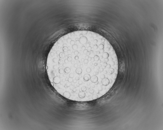 X0000111610666200908281052
