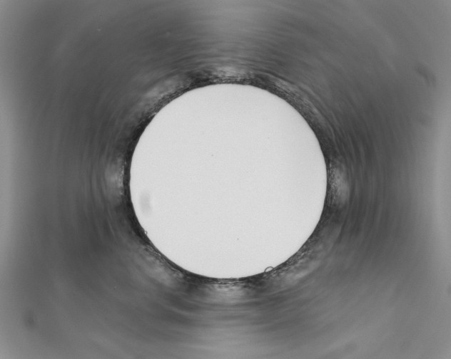 X0000111610668200908281052