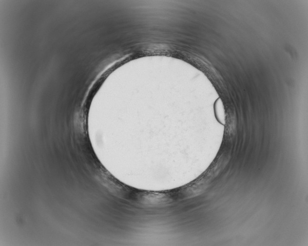 X0000111610669200908281052