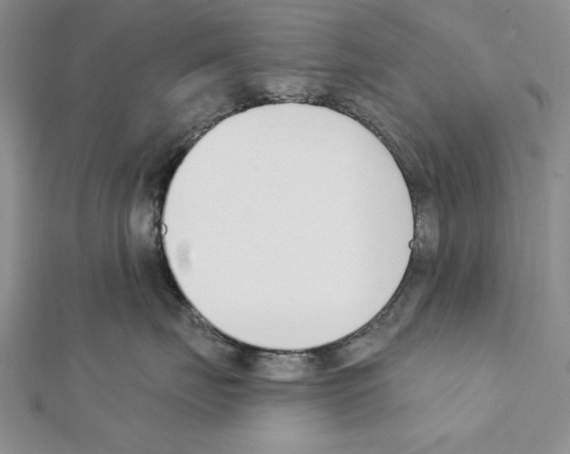 X0000111610671200908281052