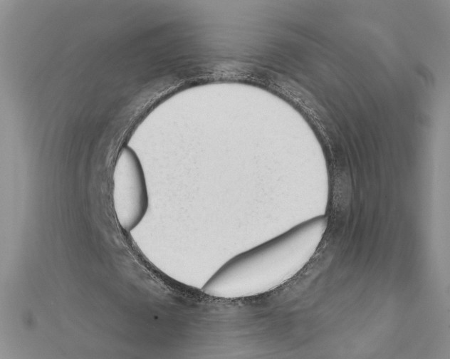 X0000111610673200908281051