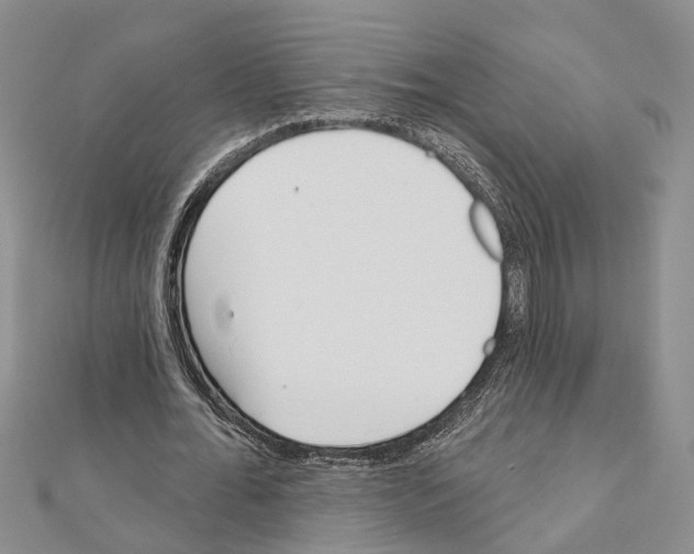 X0000111610676200908281051