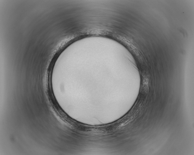 X0000111610678200908281051