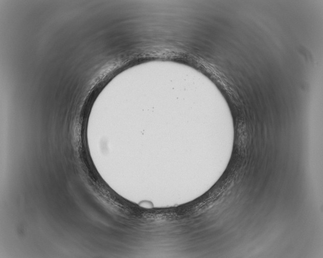 X0000111610679200908281051