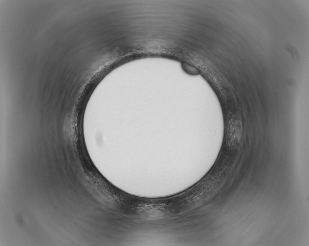 X0000111610680200908281051