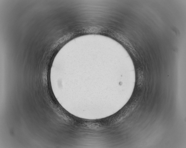 X0000111610681200908281051