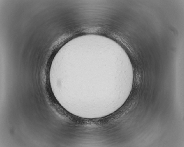 X0000111610682200908281051