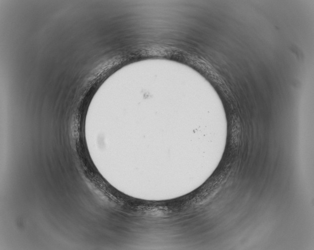 X0000111610683200908281051