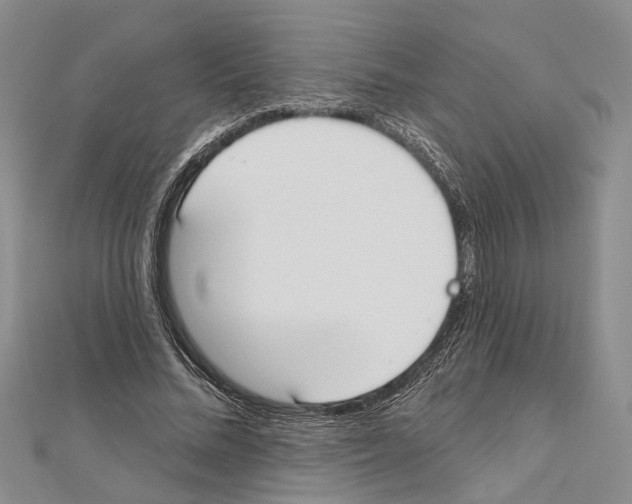 X0000111610684200908281051