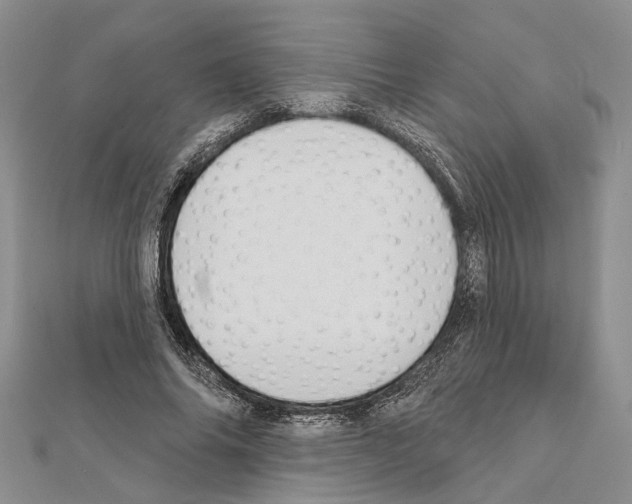 X0000111610686200908281051