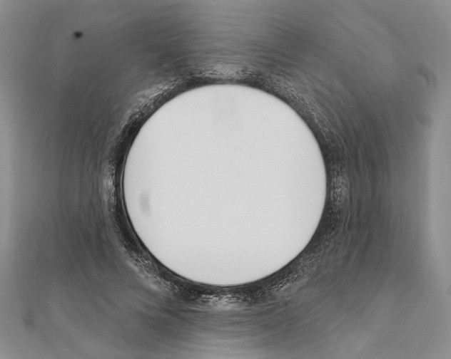 X0000111610688200908281051