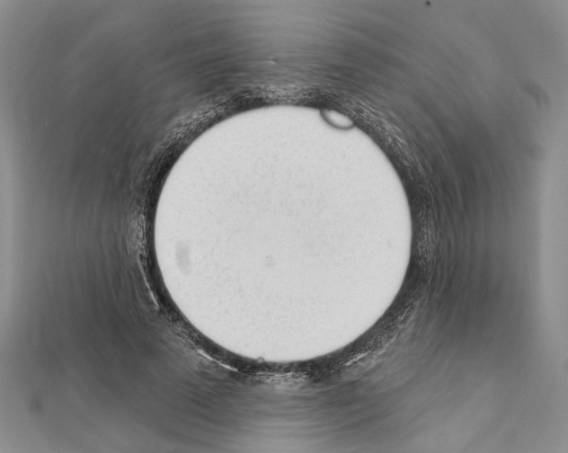 X0000111610689200908281051