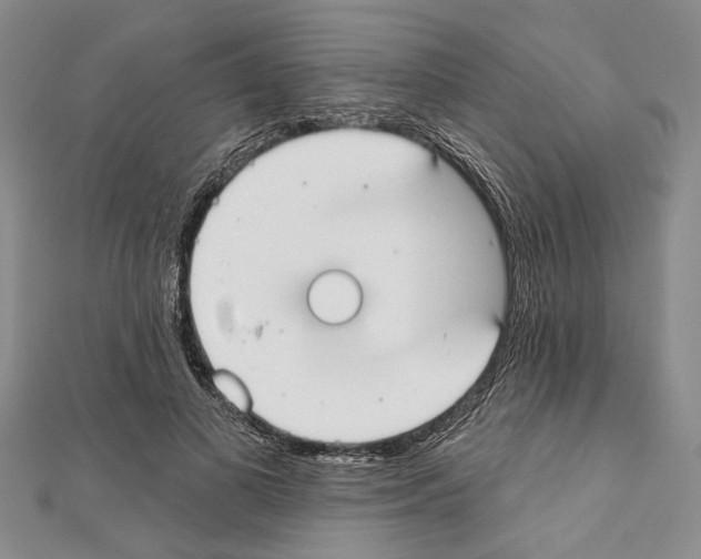 X0000111610693200908281051