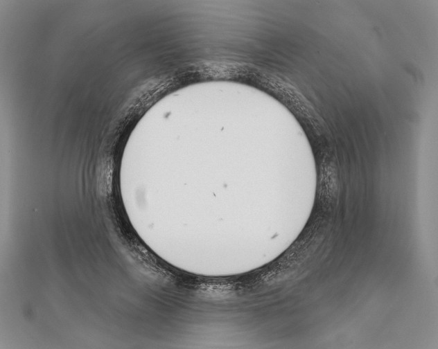 X0000111610694200908281051