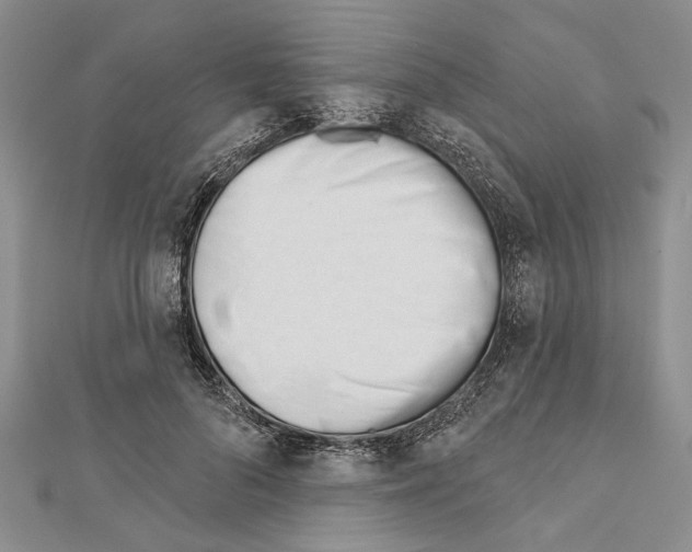 X0000111610696200908281051