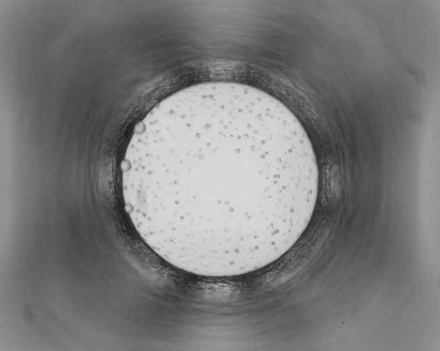 X0000111610698200908281051