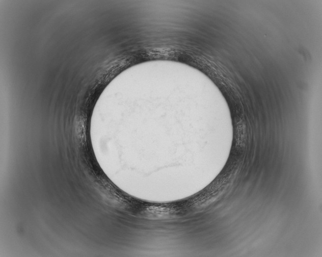 X0000111610699200908281051