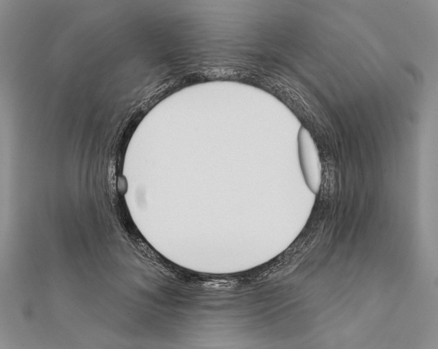 X0000111610700200908281051