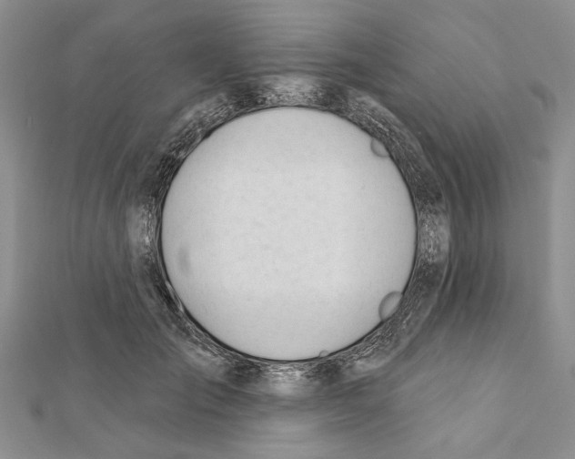 X0000111610701200908281051